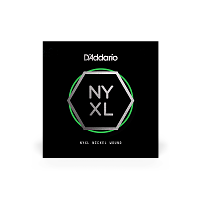 D`ADDARIO NYNW037