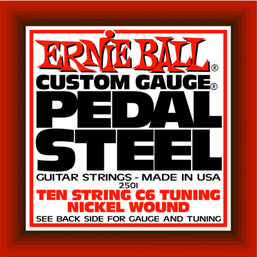 ERNIE BALL P02501