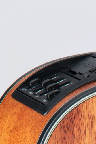 TAKAMINE GLD11E-NS фото 4